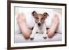 Sleeping Dog and Owner-Javier Brosch-Framed Photographic Print