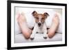 Sleeping Dog and Owner-Javier Brosch-Framed Photographic Print