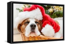 Sleeping Dog Weared to Santa Hat-Artush-Framed Stretched Canvas