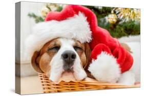 Sleeping Dog Weared to Santa Hat-Artush-Stretched Canvas