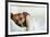 Sleeping Dog-Javier Brosch-Framed Photographic Print