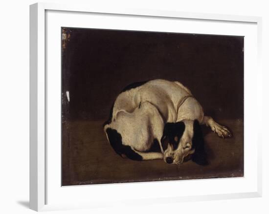 Sleeping Dog-Arcangelo Resani-Framed Art Print