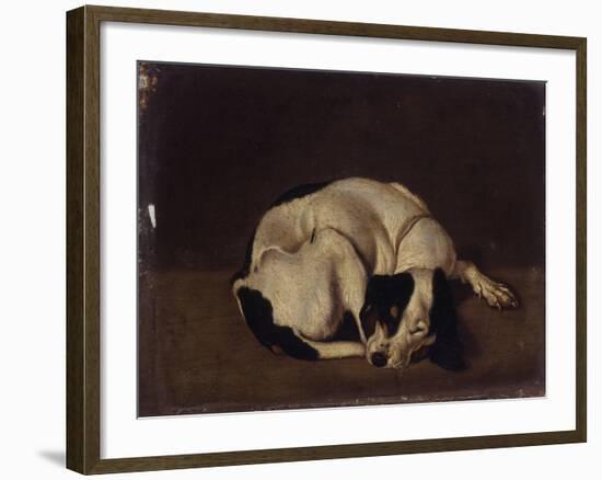 Sleeping Dog-Arcangelo Resani-Framed Art Print