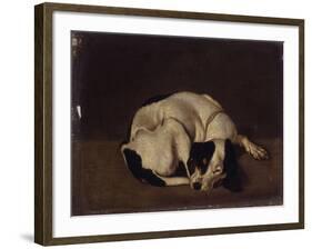 Sleeping Dog-Arcangelo Resani-Framed Art Print