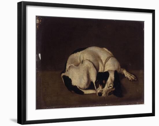 Sleeping Dog-Arcangelo Resani-Framed Art Print