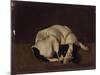 Sleeping Dog-Arcangelo Resani-Mounted Art Print