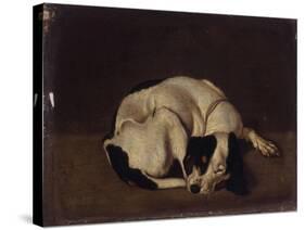 Sleeping Dog-Arcangelo Resani-Stretched Canvas