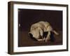 Sleeping Dog-Arcangelo Resani-Framed Art Print