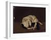 Sleeping Dog-Arcangelo Resani-Framed Art Print