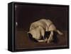 Sleeping Dog-Arcangelo Resani-Framed Stretched Canvas