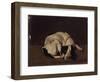 Sleeping Dog-Arcangelo Resani-Framed Art Print