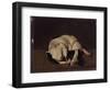 Sleeping Dog-Arcangelo Resani-Framed Art Print