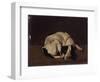 Sleeping Dog-Arcangelo Resani-Framed Art Print