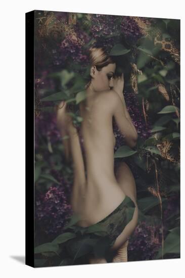 Sleeping Fairy in Lilac, Composite Photo-coka-Stretched Canvas