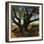 "Sleeping Farmer," August 23, 1947-John Atherton-Framed Giclee Print