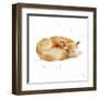 Sleeping Fox-Katrina Pete-Framed Art Print