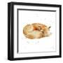 Sleeping Fox-Katrina Pete-Framed Art Print