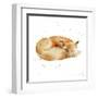 Sleeping Fox-Katrina Pete-Framed Art Print