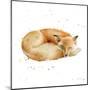 Sleeping Fox-Katrina Pete-Mounted Art Print