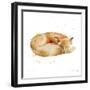 Sleeping Fox-Katrina Pete-Framed Art Print