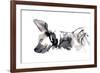 Sleeping Hyaena, 2010-Mark Adlington-Framed Giclee Print