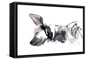 Sleeping Hyaena, 2010-Mark Adlington-Framed Stretched Canvas