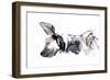 Sleeping Hyaena, 2010-Mark Adlington-Framed Giclee Print