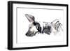 Sleeping Hyaena, 2010-Mark Adlington-Framed Giclee Print