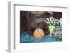 Sleeping Labrador Retriever Puppies-Zandria Muench Beraldo-Framed Photographic Print