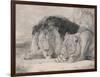 Sleeping Lion and Lioness-F. Lewis-Framed Premium Photographic Print