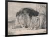 Sleeping Lion and Lioness-F. Lewis-Framed Photographic Print