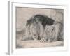 Sleeping Lion and Lioness-F. Lewis-Framed Photographic Print