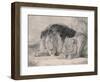 Sleeping Lion and Lioness-F. Lewis-Framed Photographic Print