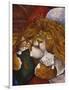 Sleeping Lion-Bill Bell-Framed Giclee Print