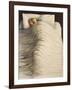Sleeping Mother, 1996-Evelyn Williams-Framed Giclee Print