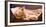 Sleeping Orange Cat in Cat Bed-Deyan Georgiev-Framed Photographic Print