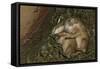 Sleeping Prairie Dog Pups-W. Perry Conway-Framed Stretched Canvas