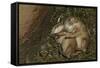 Sleeping Prairie Dog Pups-W. Perry Conway-Framed Stretched Canvas