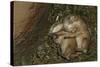 Sleeping Prairie Dog Pups-W. Perry Conway-Stretched Canvas