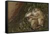 Sleeping Prairie Dog Pups-W. Perry Conway-Framed Stretched Canvas