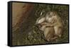 Sleeping Prairie Dog Pups-W. Perry Conway-Framed Stretched Canvas