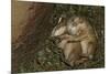 Sleeping Prairie Dog Pups-W. Perry Conway-Mounted Photographic Print