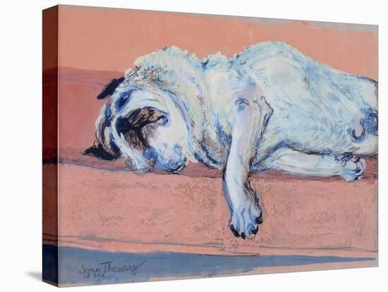 Sleeping Pug Two, 2000-Joan Thewsey-Stretched Canvas