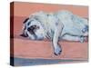 Sleeping Pug Two, 2000-Joan Thewsey-Stretched Canvas