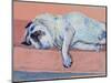 Sleeping Pug Two, 2000-Joan Thewsey-Mounted Premium Giclee Print