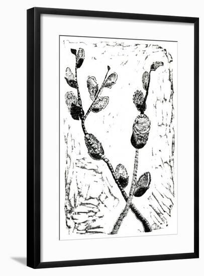 Sleeping Pussy Willow, 2014-Bella Larsson-Framed Giclee Print