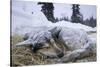 Sleeping, Snow-Covered, Iditarod Sled Dog-Paul Souders-Stretched Canvas