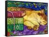 Sleeping Tabby Cat-sylvia pimental-Framed Stretched Canvas