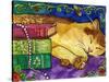 Sleeping Tabby Cat-sylvia pimental-Stretched Canvas