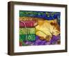 Sleeping Tabby Cat-sylvia pimental-Framed Art Print